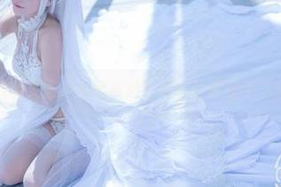 套图里的幽灵鲨，卜呦精选了那些让我停不下来的眼神