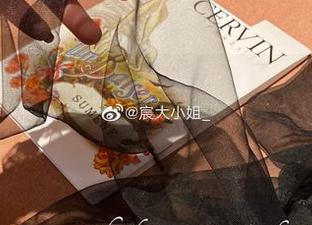 微密圈 - 绝美长腿的宸大小姐，最新图册来袭，租一条腿也不亏！